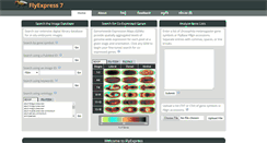 Desktop Screenshot of flyexpress.net